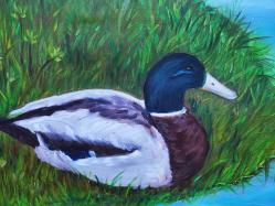 20274-HALİ 06 İMZALI YAĞLI BOYA RESİM TABLO