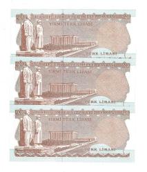 6.Emisyon 3.Tertip 20 Türk Lirası *Seri Takipli F36* - ÇİL TCK10076