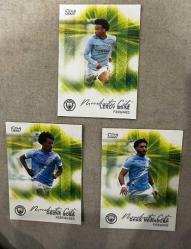 Topps Man. City Special Cards