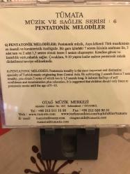 Tümata Müzik ve Sağşıl Serisi 6 - PENTATONİK MELODİLER - Müzik Terapi