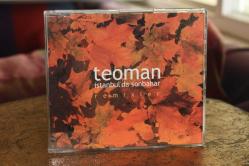 Teoman - İstanbul'da Sonbahar / Remixes - CD (Single)