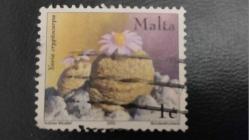 2002 YILI MALTA SUKULENT  DAMGALI ŞARNİYERSİZ