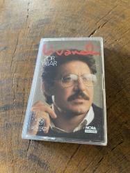 ZÜLFÜ LİVANELİ - ZOR YILLAR - KASET