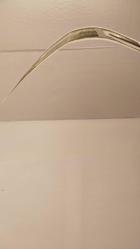 5.EMİSYON 5.TERTİP 100 TÜRK LİRASI SERİ NO C62 047643 TEMİZ MERTEBESİNDE 334