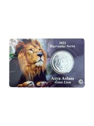 Hayvanlar Serisi Asya Aslanı Özel Kitinde