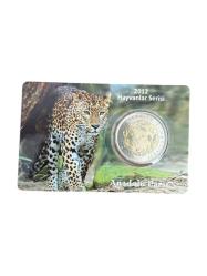 Hayvanlar Serisi Anadolu Parsı Özel Kitinde