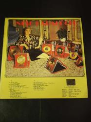 Neşe Karaböcek Çiçek dağı plak