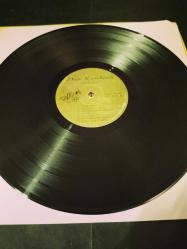 Neşe Karaböcek Çiçek dağı plak