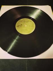 Neşe Karaböcek Çiçek dağı plak