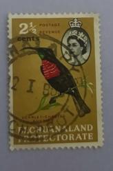 BECHUANALAND 1961 _Kızıl Göğüslü Güneş Kuşu 