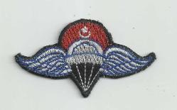 HAVA UZMAN PARAŞÜT ATLAMA PEÇİ...