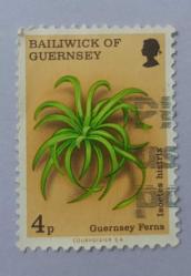 Guersney _ damgalı pul