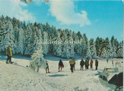 LOT.3 » Bursa - Uludağ, Kış ve Ski / Keskin Color