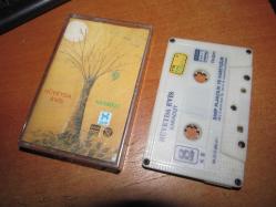 HÜVEYDA EVİS  KARADUT KASET