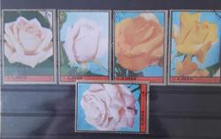 LOT.11 » AJMAN DAMGASIZ GÜLLER