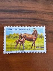 2001 Fauna / Atlar (Kısrak ve Tay)