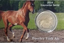 @@ 2014 Bverley Türk Atı @@