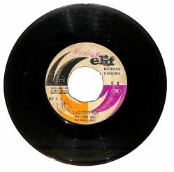Nermin Candan – Canımın İçi & Hayat Mı Bu Plak (10/6) PLK26801