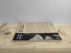 Kırk Yılda Bir Gibisin