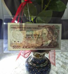 5000 TL Büyük ıMevlana  7 Emisyon    Çil -