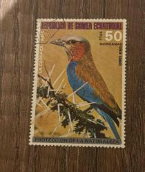 Ekvator Ginesi Pulu - Equatorial Guinea Stamp - Postadan Geçmiş Pul Filateli - Damgalı - Gökkuzgun Kuşu Temalı Pul , 50  PARA - YABANCI PULLAR - NOSTALJİK DOĞUM GÜNÜ HEDİYESİ