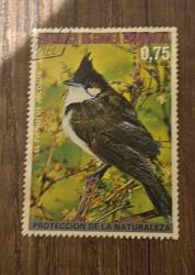 Ekvator Ginesi Pulu - Equatorial Guinea Stamp - Postadan Geçmiş Pul Filateli - Damgalı - Kırmızı Bıyıklı Bülbül Kuşu Temalı Pul , 0.75  PARA - YABANCI PULLAR - NOSTALJİK DOĞUM GÜNÜ HEDİYESİ