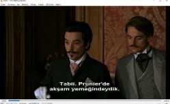 swann'ın aşkı dvd (PC'de denenmiştir) (un amore de swann) ornella muti jeremy irons alain delon fanny ardant (marcel proust)