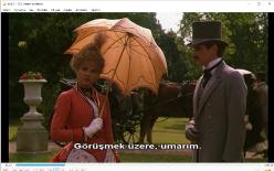 swann'ın aşkı dvd (PC'de denenmiştir) (un amore de swann) ornella muti jeremy irons alain delon fanny ardant (marcel proust)