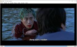 haklı intikam  dvd (PC'de denenmiştir)  ha kyun shin kang ho song du na bae han bo bae  (sympathy for mr vengeance)