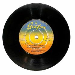 Zeki Müren – Fakir Bir Şairim & Gözlerimden Yüzün Kulaklarımdan Sesin Silinmedi Plak (10/6) PLK26839