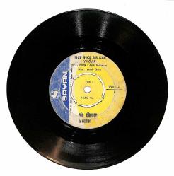 Edip Akbayram - Dostlar – İnce İnce Bir Kar Yağar & Dağlar Dağladı Beni Plak (10/6) PLK26848