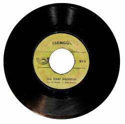 Esengül – Anlamıyorsun Gönül Derdinden & Sana Aşkımı Anlatabilsem Plak (10/6) PLK26862