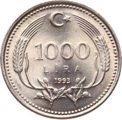 1993 Yılı 1000 Lira - ÇİL TCM3149