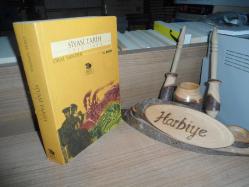 SİYASİ TARİH / 1918 - 1994