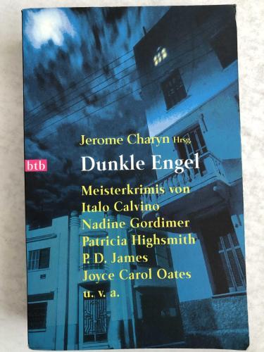 Jerome Charyn Hrsg. Dunkle Engel Meisterkrimis von Italo Calvino Nadine Gordimer Patricia Highsmith P. D. James Joyce Carol Oates  u. v. a.