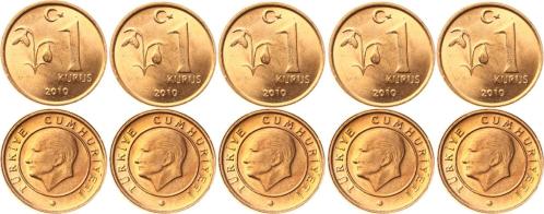 2010 Yılı 1 Kuruş Lot (5 Adet) - ÇİL TCM3176