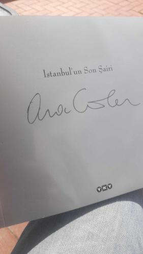 İstanbul'un Son Şairi