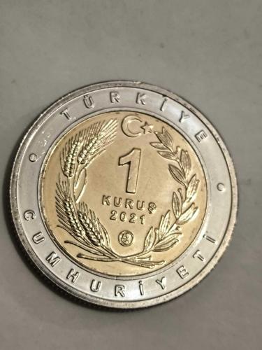 Bimetal Hatıra Para Tarsus Çatal Burun Köpeği ÇİL