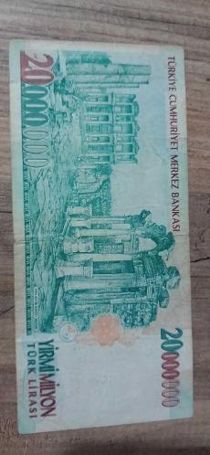 20 milyon