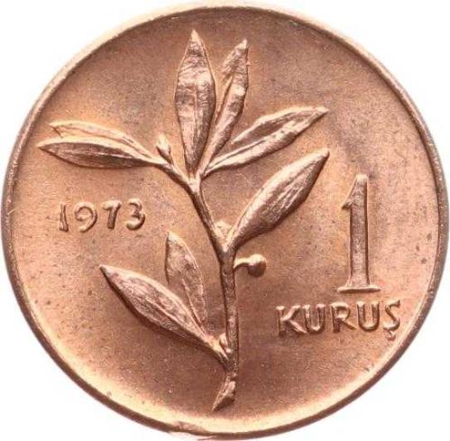 1973 Yılı 1 Kuruş - ÇİL TCM3259