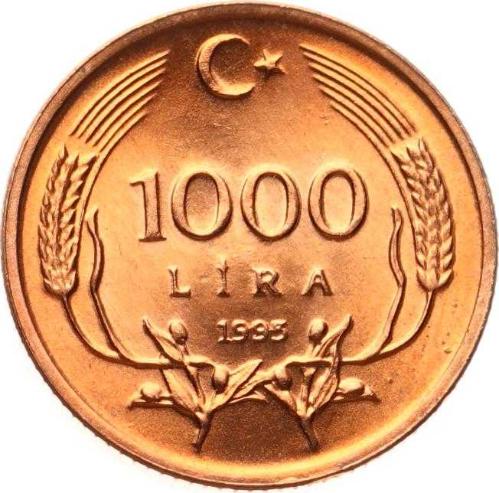 1995 Yılı 1000 Lira - ÇİL TCM3265