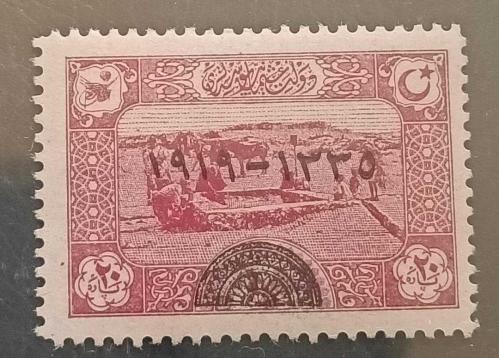 Osmanlı 1919 20 Para sürşarjlı Damgasız