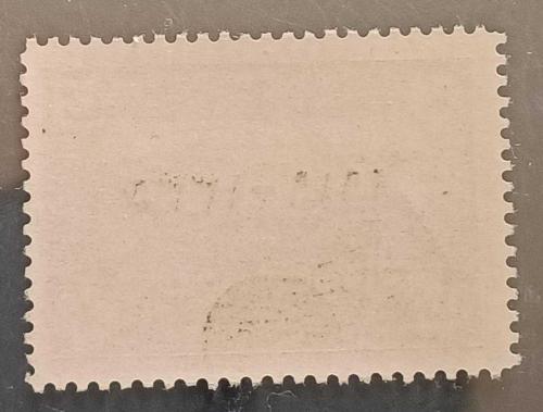 Osmanlı 1919 20 Para sürşarjlı Damgasız