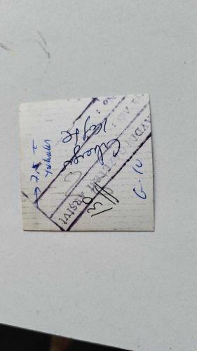 ŞARKICI ve SÖZ YAZARI NİLÜFER'İN ORİJİNAL MİNİ BOY FOTOĞRAFI (NİLÜFER YUMLU) - 5,5 x 5,5 cm EBADINDA - NİLÜFER, İLKOKUL YILLARINDA ZEYNEP LÜTFİYE YUMLU'NUN YANINDA OTURURKEN ÇEKİLMİŞ BİR KARE