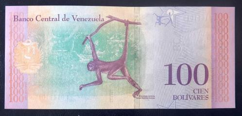 VENEZUELA=2018  100 Bolivares   P-106   ÇİL'