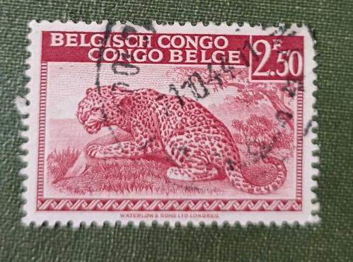 Belçika Kongosu 1942_ damgalı pul