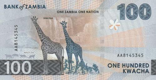 ZAMBİYA 100 KWACHA 2024 P#65 ÇİL