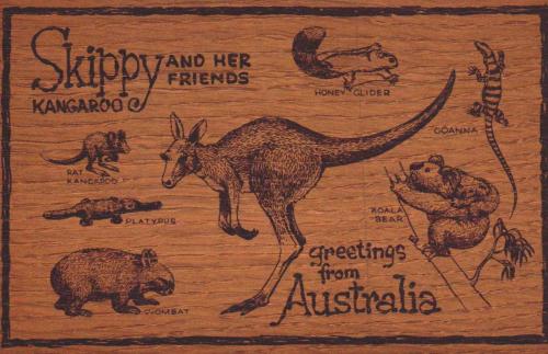 KARTPOSTAL - AVUSTRALYA