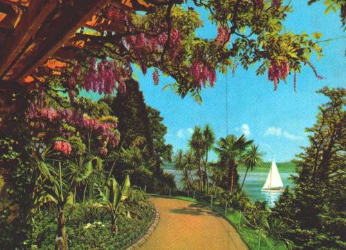 LOT.12 » KARTPOSTAL - Mainau / ALMANYA