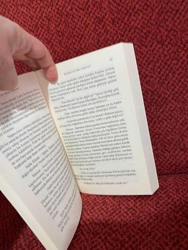 TURFANDA MI YOKSA TURFA MI?